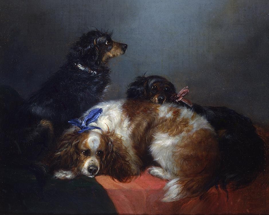 George Armfield Two King Charles Spaniels and a Terrier